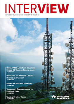 Cover Image of Issue 30, February 2021