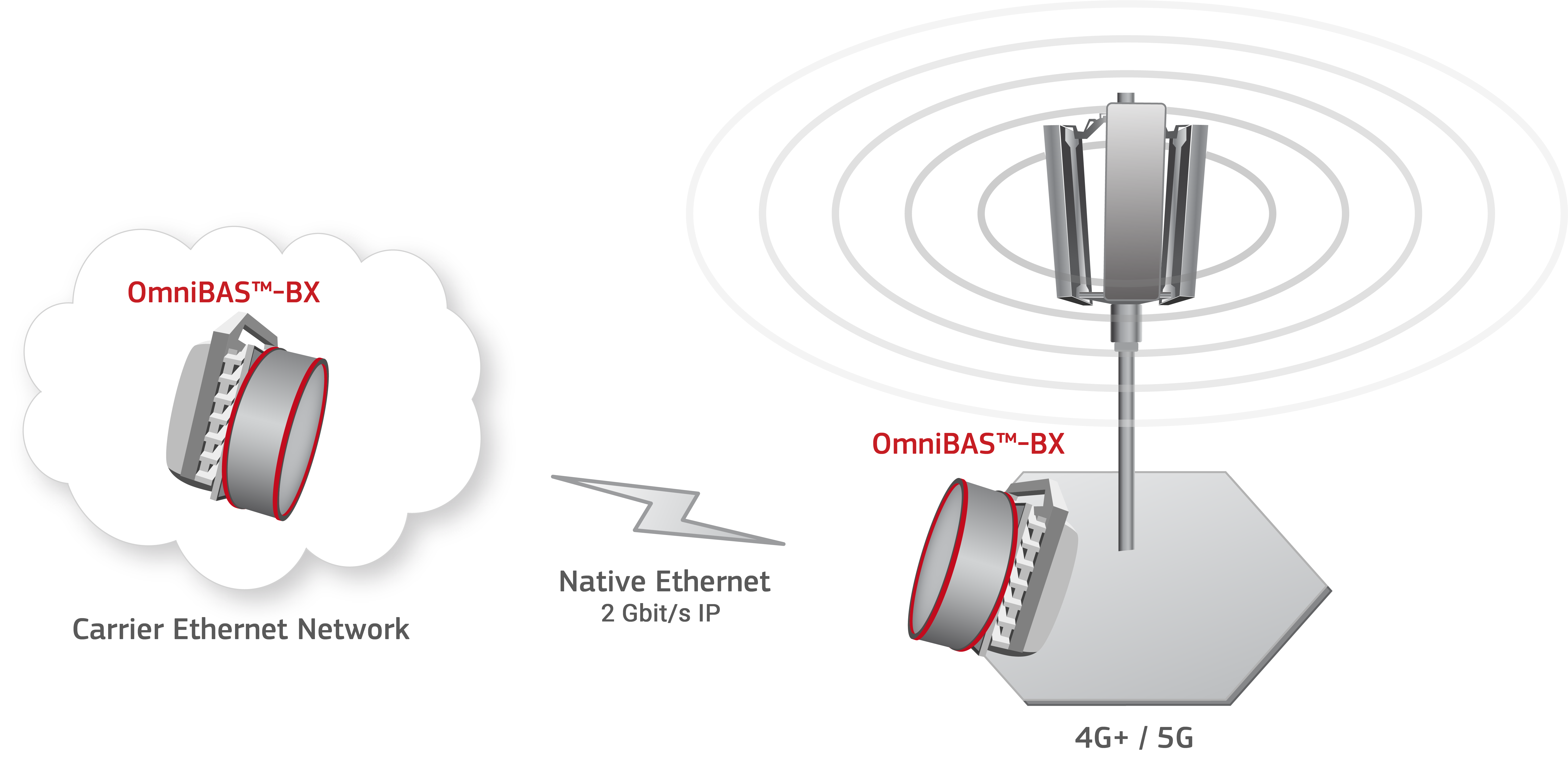 OmniBAS-BX diagram